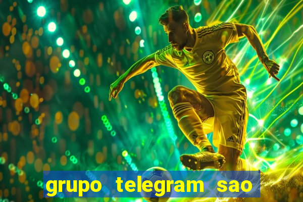 grupo telegram sao jose do rio preto